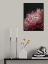 Moody blush peony I Poster och Canvastavla