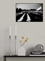 Poster och Canvastavla