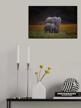 Snuggle Poster och Canvastavla