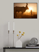 Saving The Cows Poster och Canvastavla