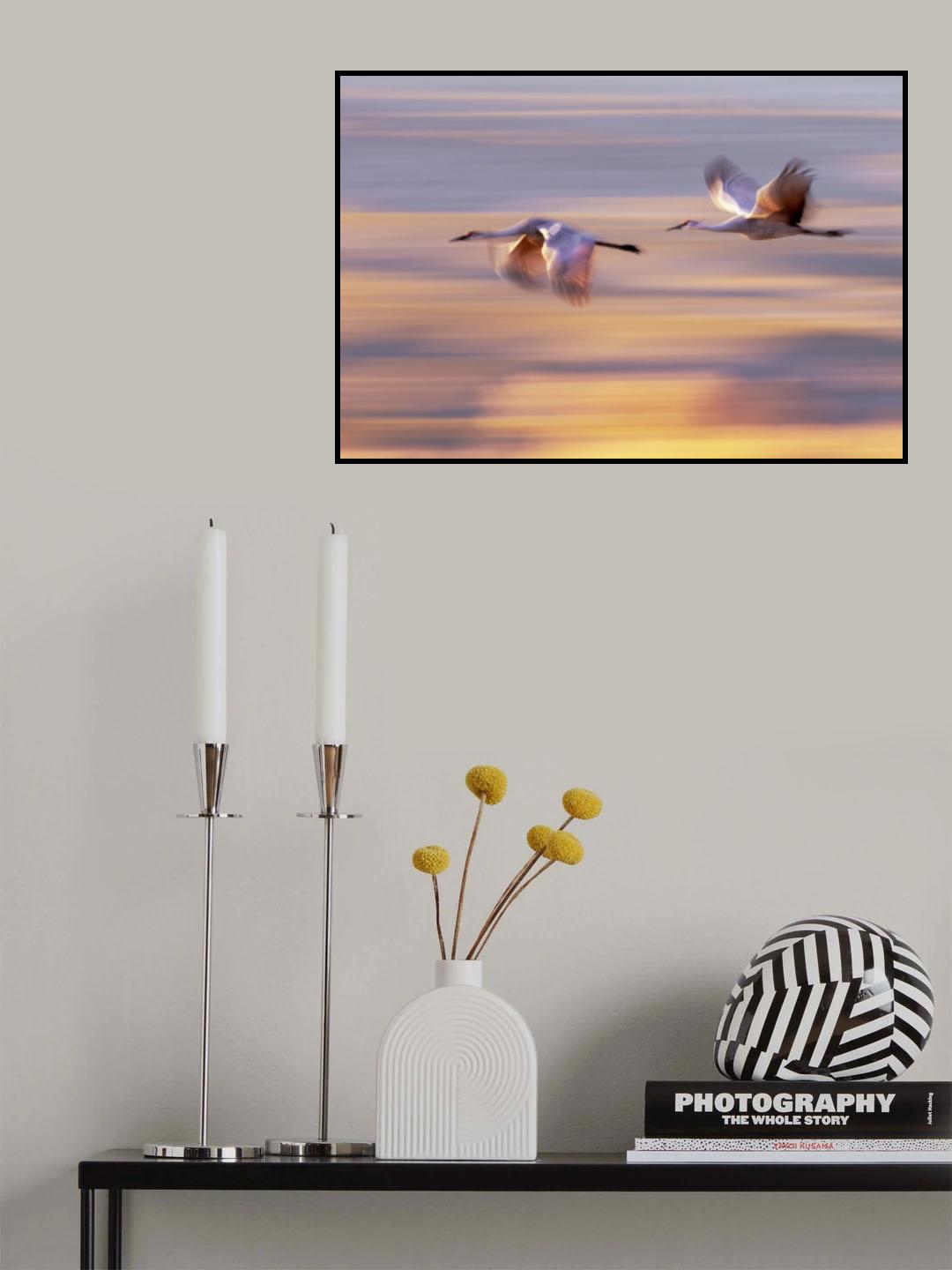 Wingspan Poster och Canvastavla