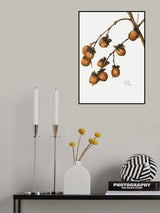 Persimmon (1920) Poster och Canvastavla