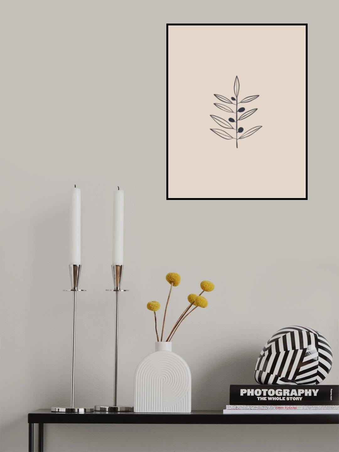 Olive Branche Poster och Canvastavla