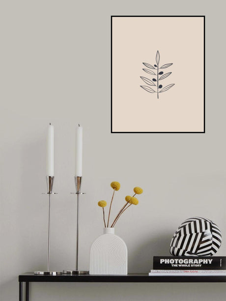 Olive Branche Poster och Canvastavla