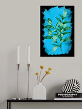 Bay leaf plant Poster och Canvastavla