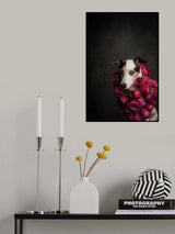 Rose Queen II Poster och Canvastavla
