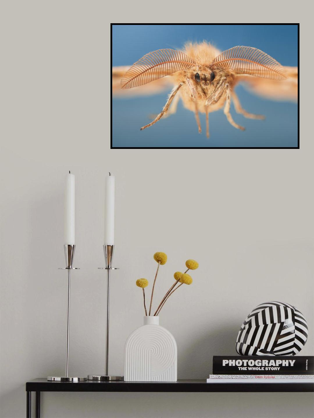 Tau Emperor Poster och Canvastavla