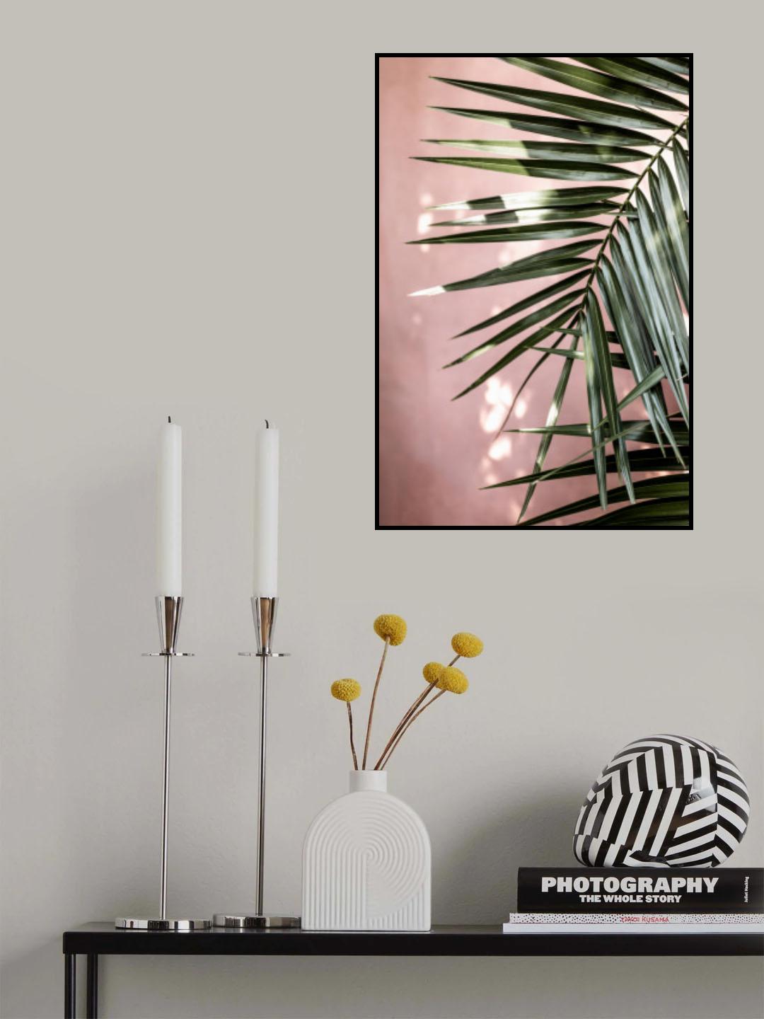 Palm Leaves 23 Poster och Canvastavla