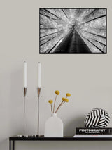 Spring mood Poster och Canvastavla