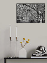 Marlot 11 04 23 Poster och Canvastavla