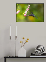 hey, bee you are in my way Poster och Canvastavla