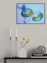 Underwater Ballet Poster och Canvastavla