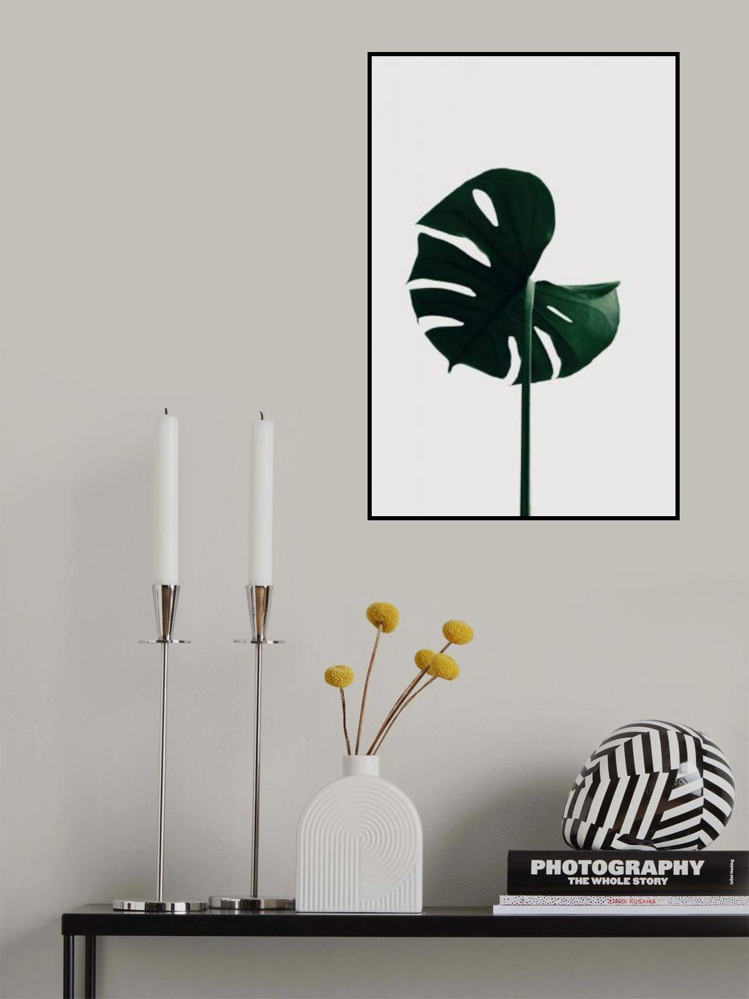 Monstera Natural 06 Poster och Canvastavla