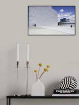 I Wish I Could Walk Too. Poster och Canvastavla