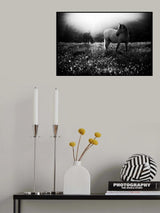 Come home Poster och Canvastavla