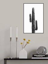 Cactus Black and White 01 Poster och Canvastavla