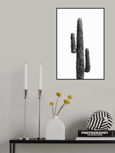 Cactus Black and White 01 Poster och Canvastavla