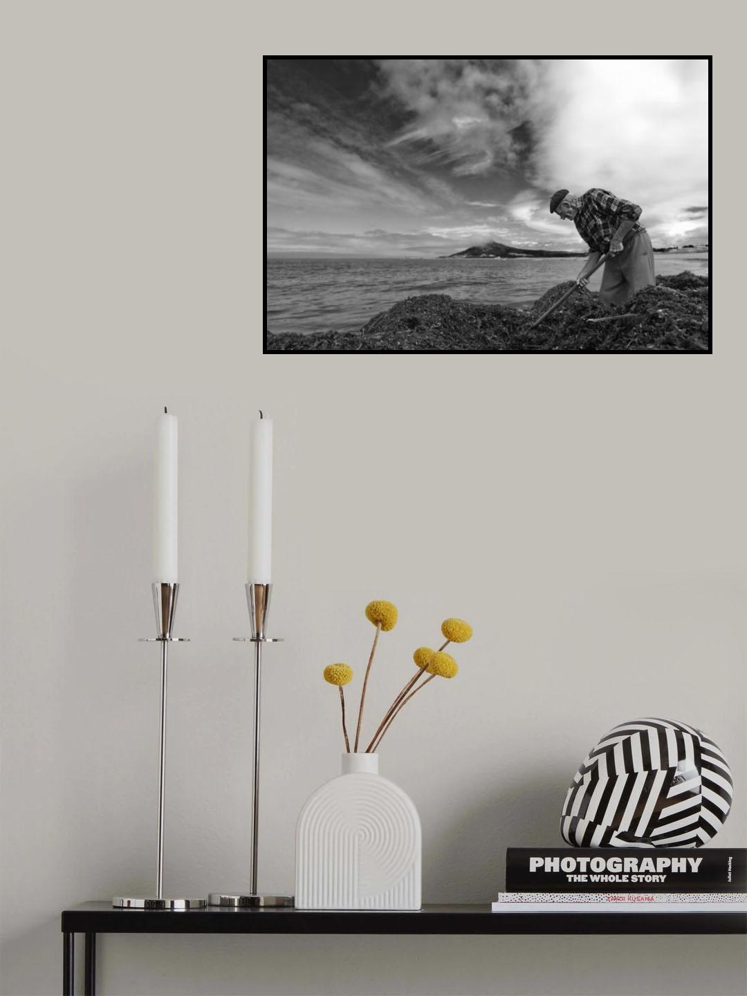 The Seaweed Man Poster och Canvastavla