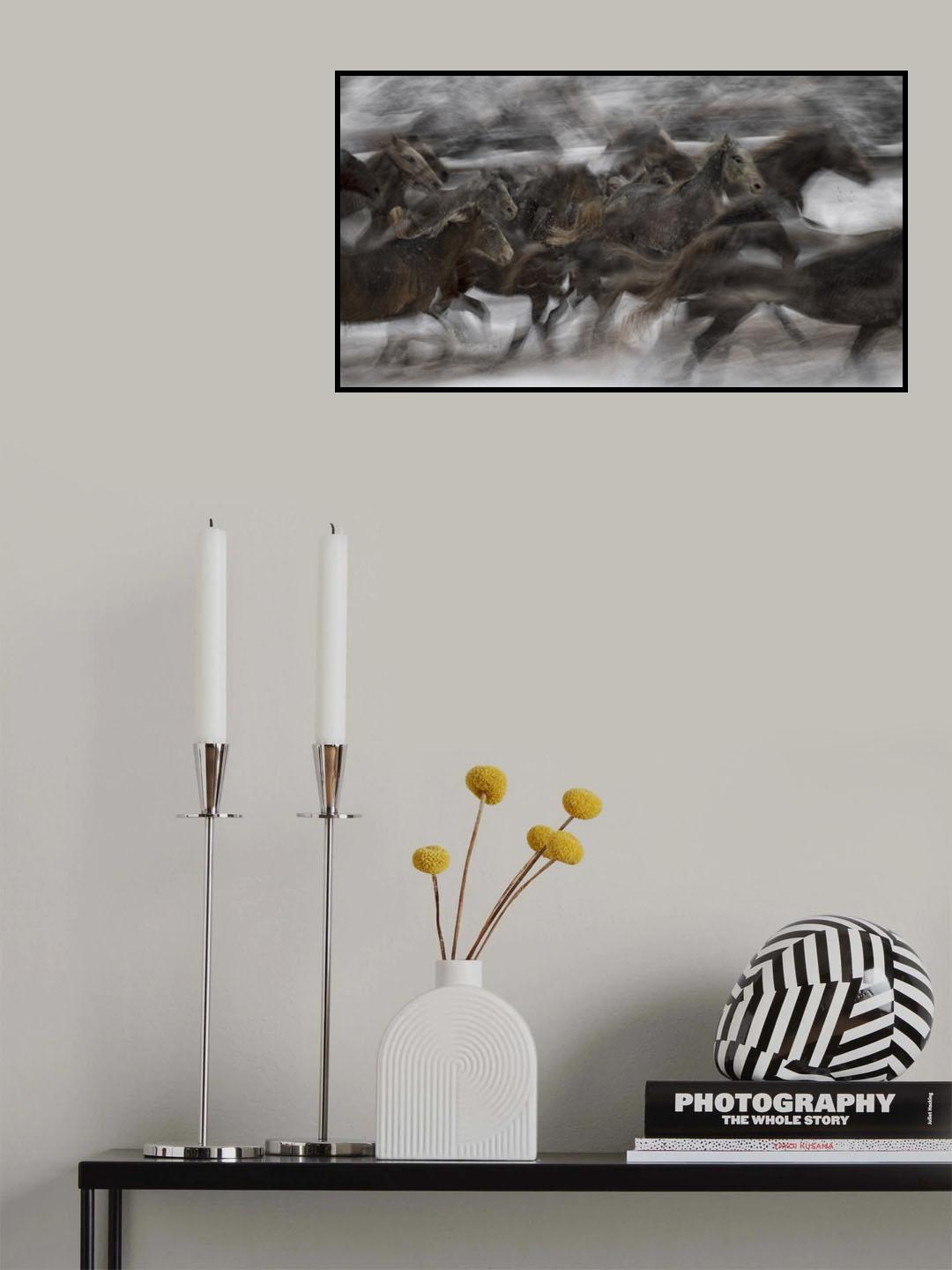 Gaallop Poster och Canvastavla