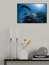 Apnea Poster och Canvastavla