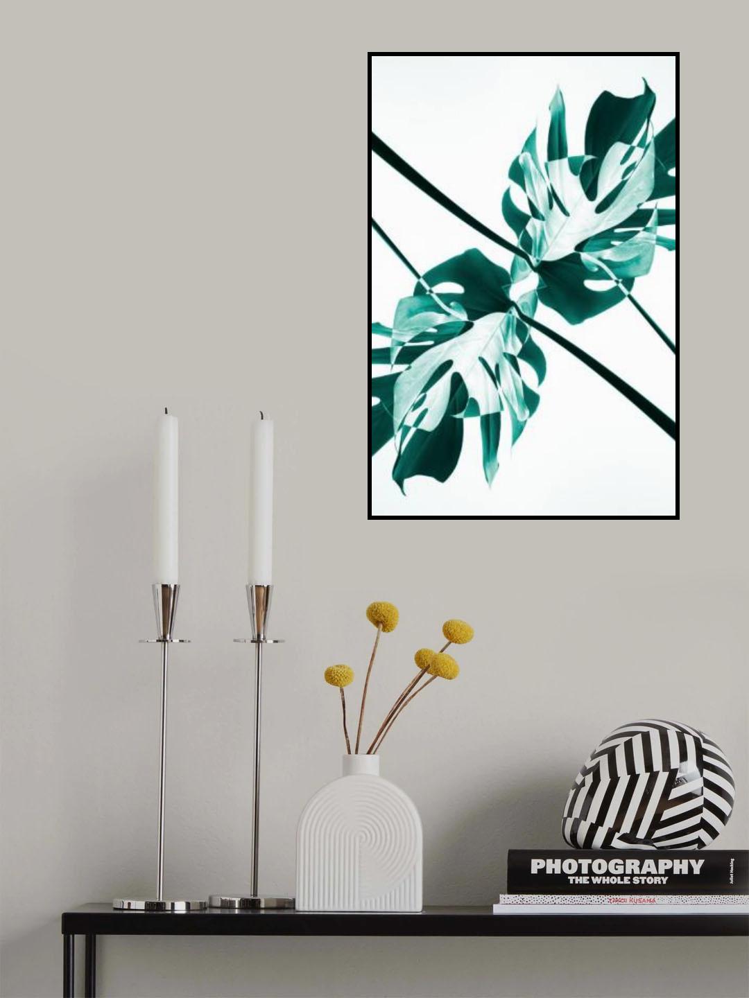 Monstera Kaleidoscope 08 Poster och Canvastavla