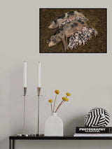 Sisters, BFF's and both mum at the same time. 2 Poster och Canvastavla