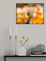 Solar heating... Poster och Canvastavla