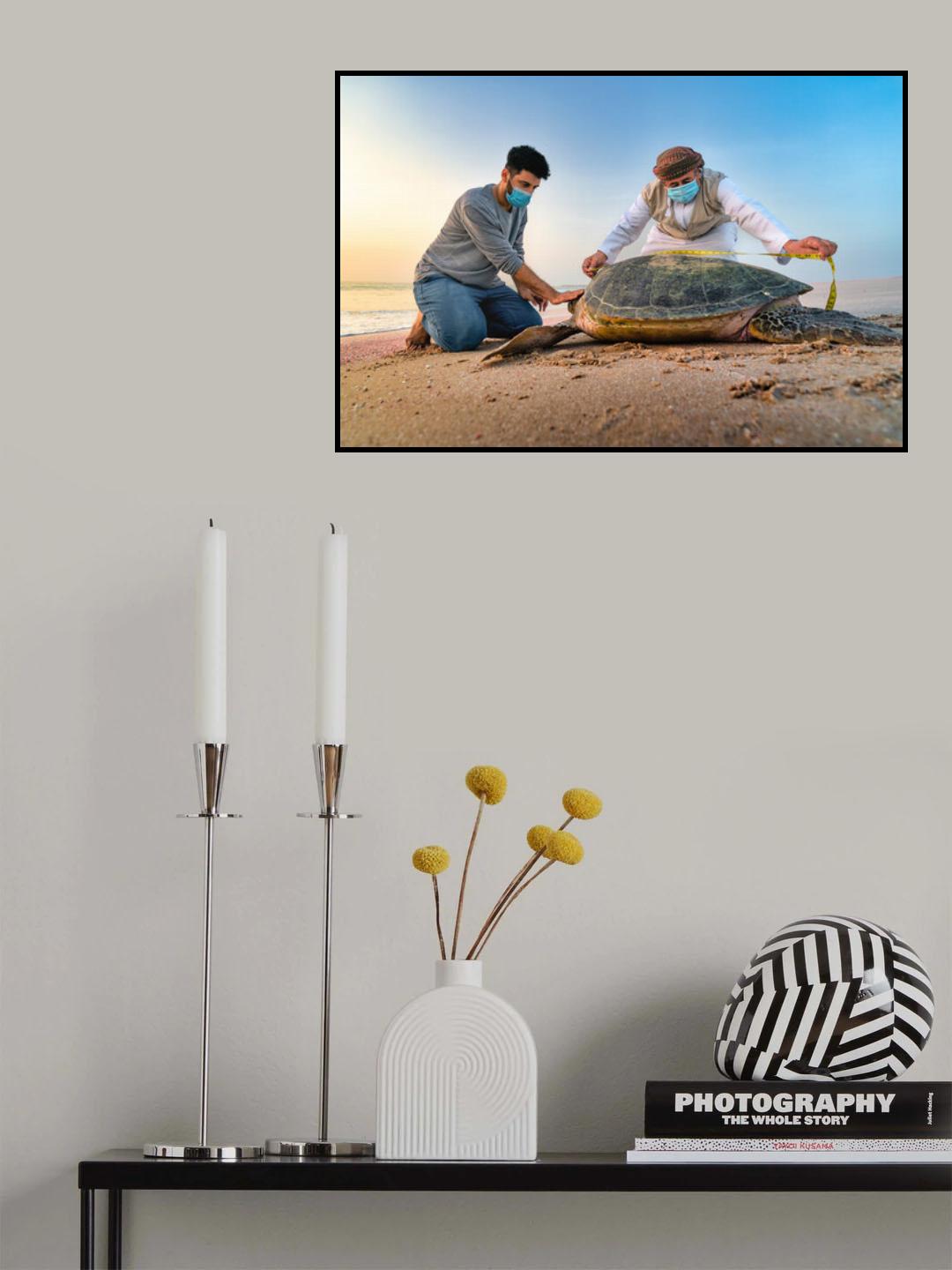 Protecting Turtles Poster och Canvastavla