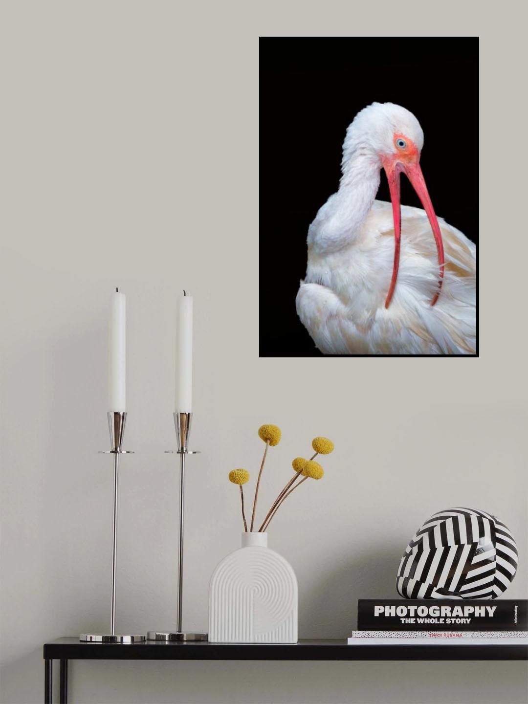 Bathing Time Beauty Poster och Canvastavla