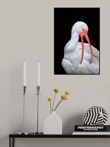 Bathing Time Beauty Poster och Canvastavla