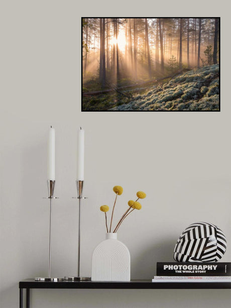 Fog in the forest with white moss in the forground Poster och Canvastavla