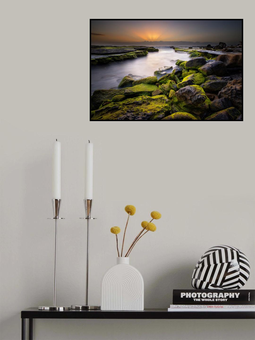 Turimetta green Poster och Canvastavla