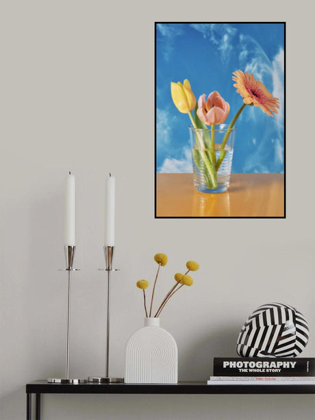 Freepik Sacolé Poster och Canvastavla