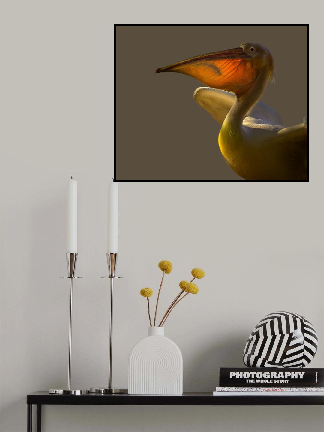 Whereabouts of that fish Poster och Canvastavla