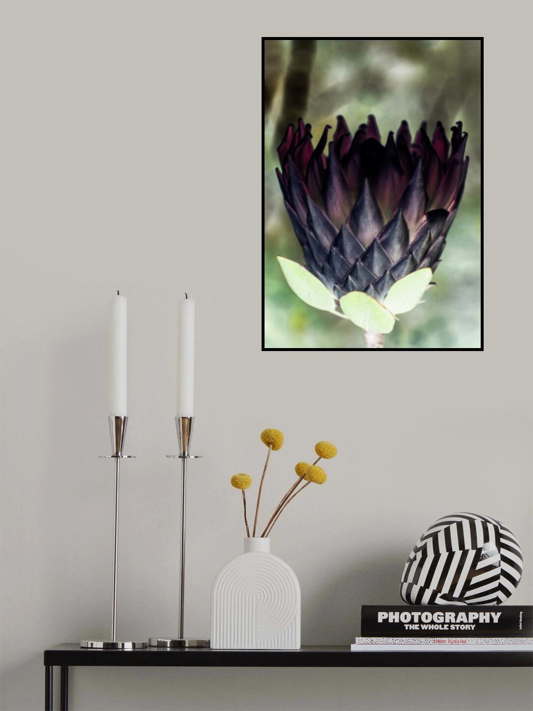 King Protea 01 Poster och Canvastavla