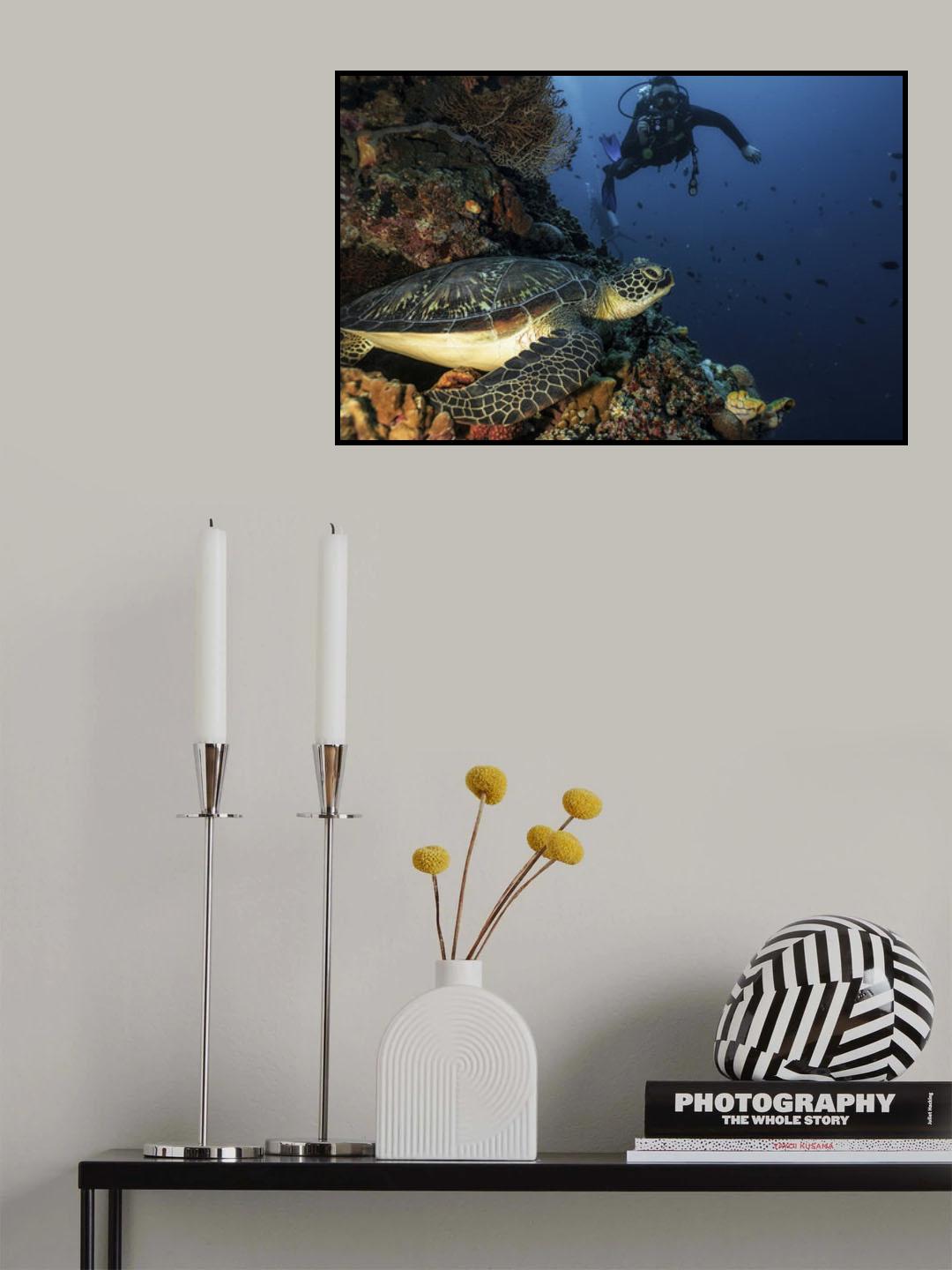 The Encounter Poster och Canvastavla