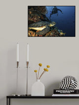 The Encounter Poster och Canvastavla