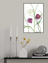 Snakes head Fritillary Poster och Canvastavla