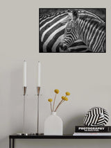 A striped monochrome Poster och Canvastavla