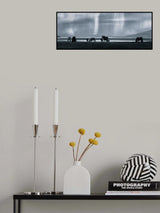 Poster och Canvastavla