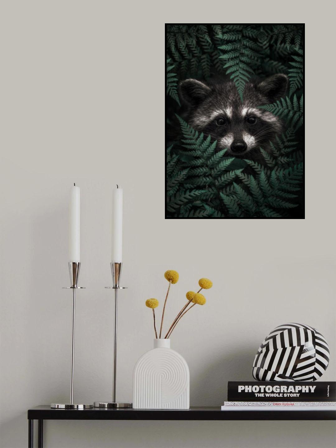 Raccoon In The Forest Poster och Canvastavla