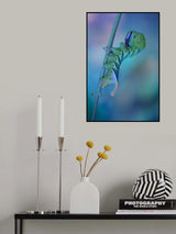 Esfinge de la muerte Poster och Canvastavla