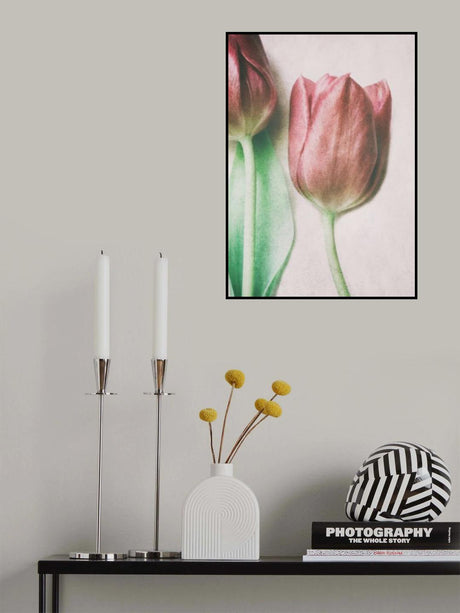 The Spring Lovers Poster och Canvastavla