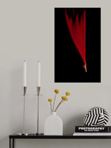 Falling Star Poster och Canvastavla