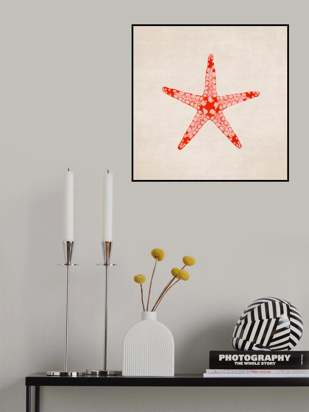 Sea Star Poster och Canvastavla