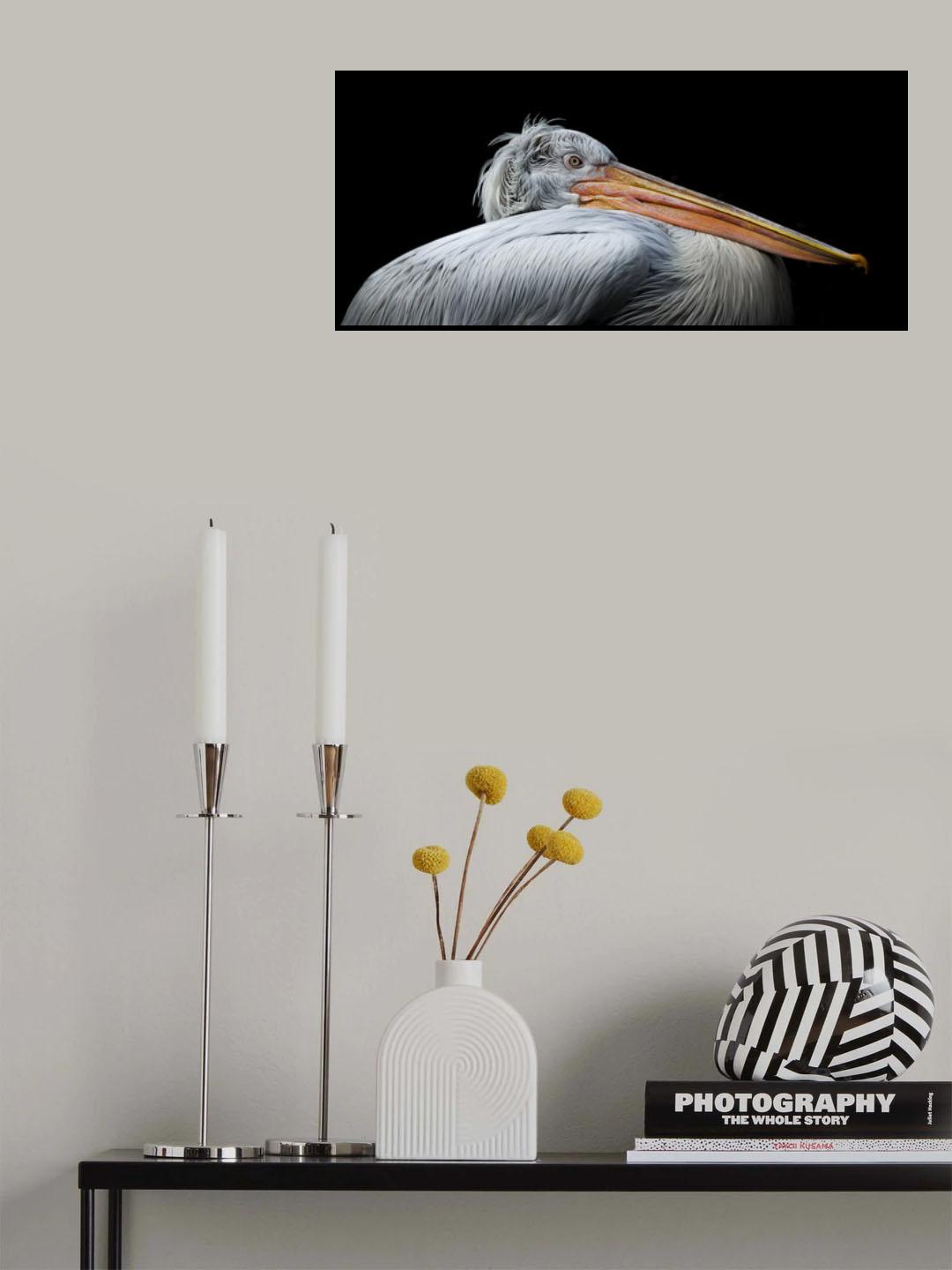 Pelikaan Poster och Canvastavla