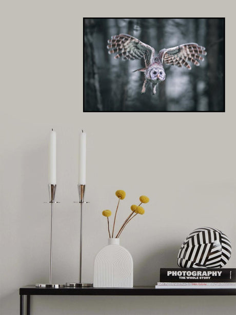 Attacking mood Poster och Canvastavla