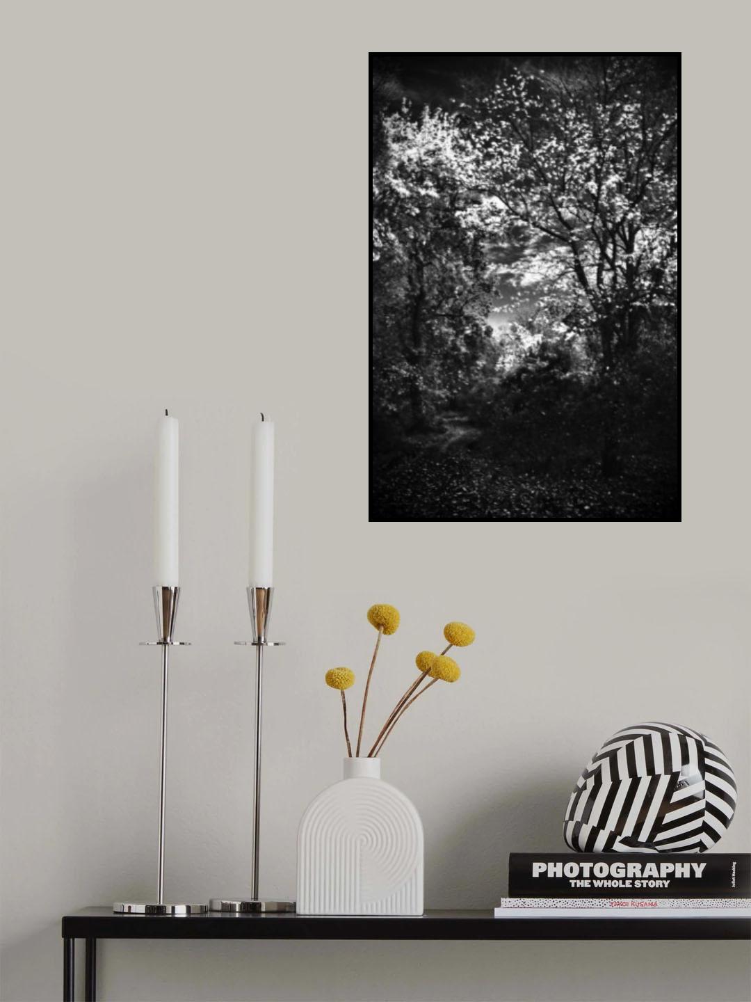 Poster och Canvastavla