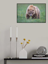 Coming right at you Poster och Canvastavla