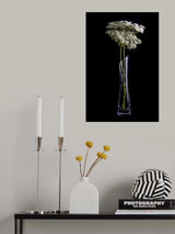 Flores Poster och Canvastavla